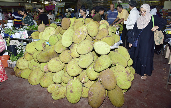 halasu mela